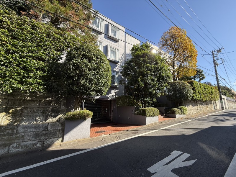 外観（前面道路）